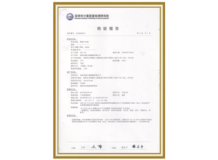 Inspection report of Testing Institute