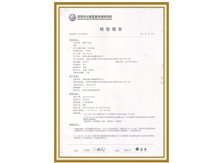 Inspection report of Testing Institute