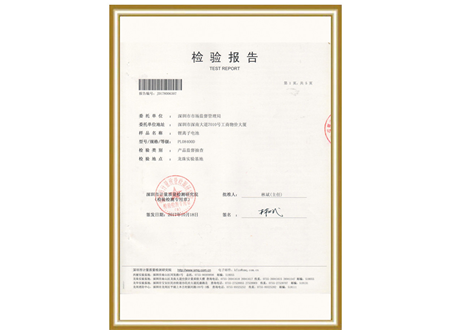 Inspection report